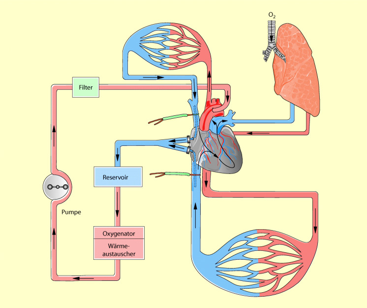 graphic file with name 6376_9_De_21_Fig2_HTML.jpg