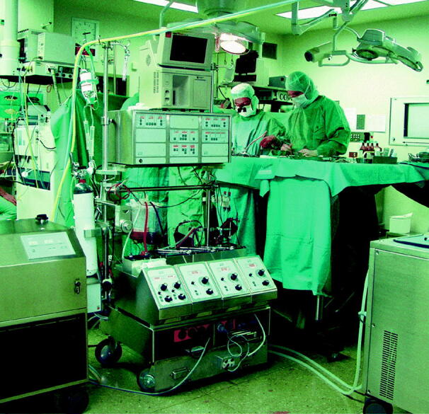 graphic file with name 6376_9_De_21_Fig3_HTML.jpg