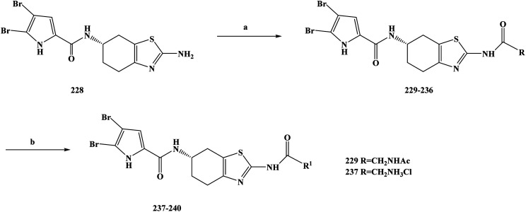 Scheme 11