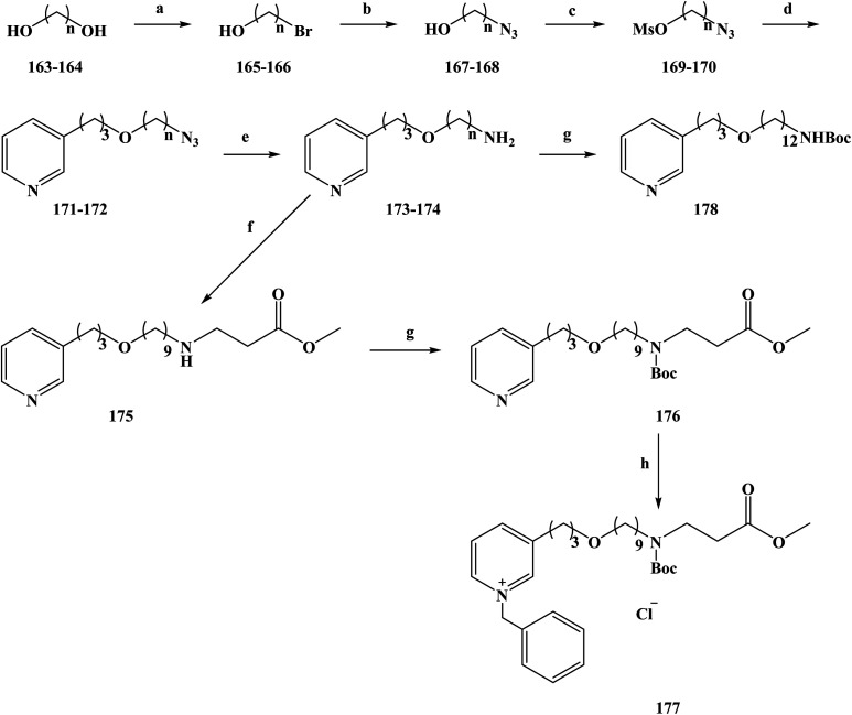 Scheme 8