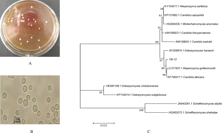 Fig 2