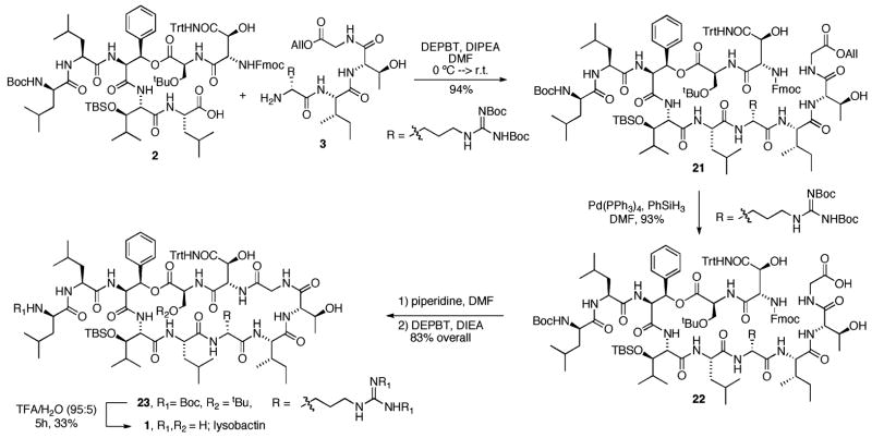 Scheme 3