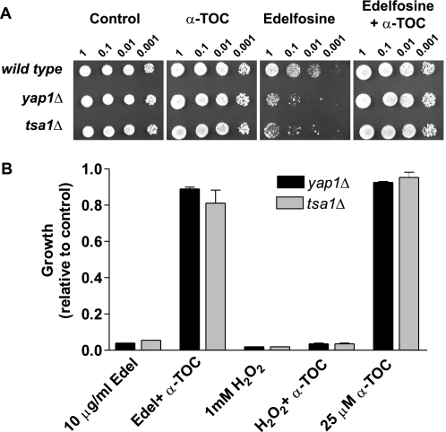 FIGURE 11.