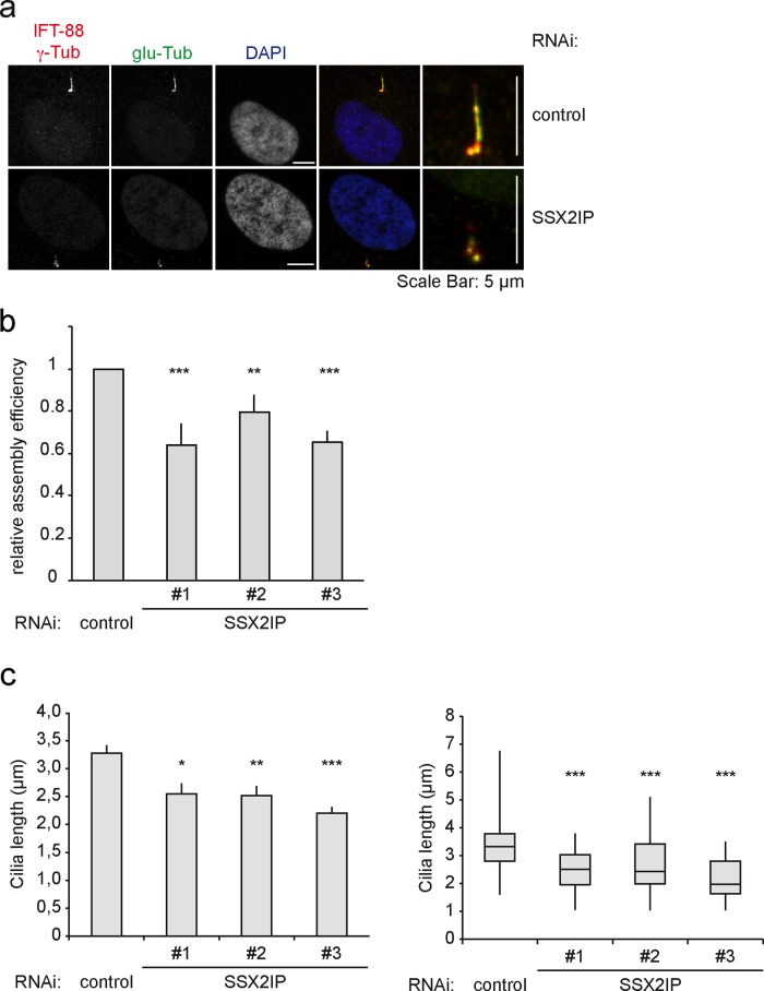 FIGURE 6: