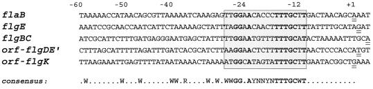 FIG. 4