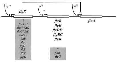 FIG. 7