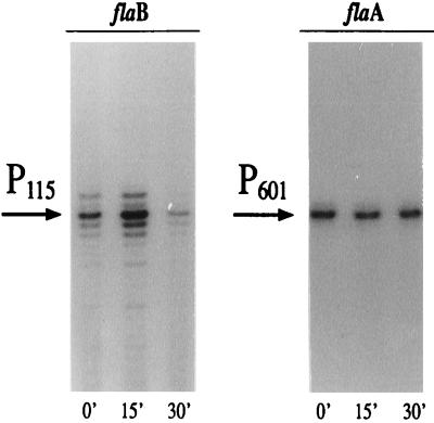 FIG. 6