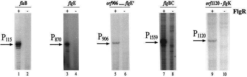 FIG. 3