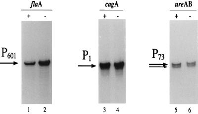 FIG. 5