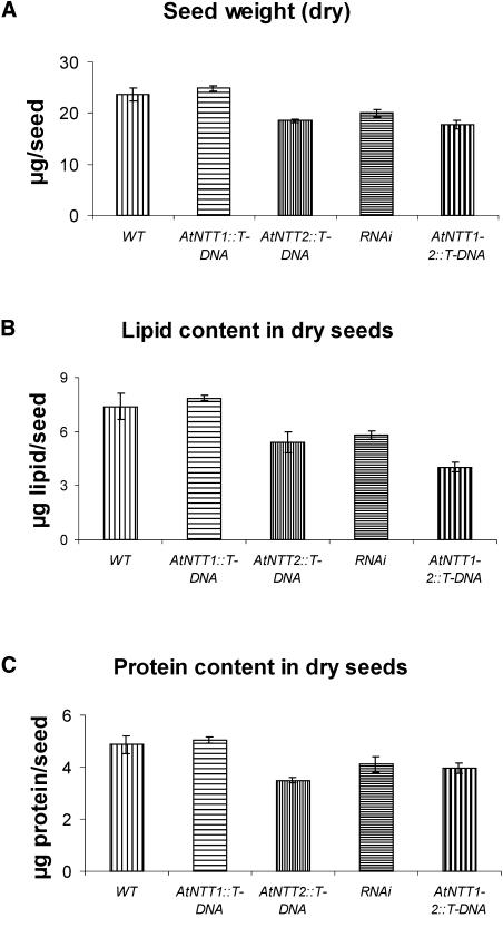 Figure 11.