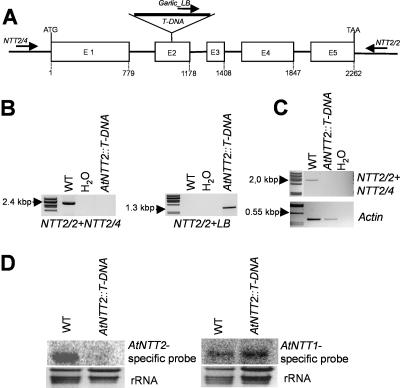 Figure 4.