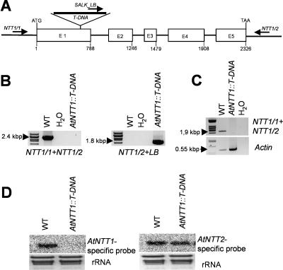 Figure 3.