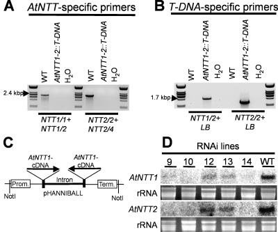 Figure 5.