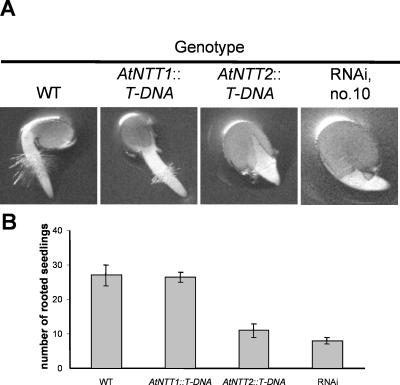 Figure 6.