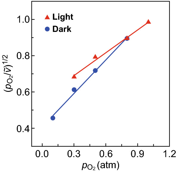 Fig. 4