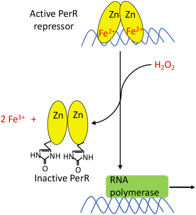 Figure 9