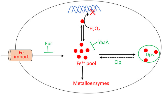 Figure 7