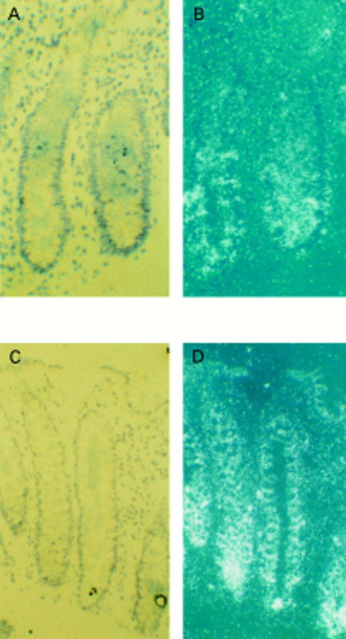 Figure 5  