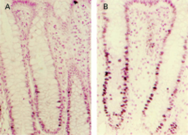 Figure 1  