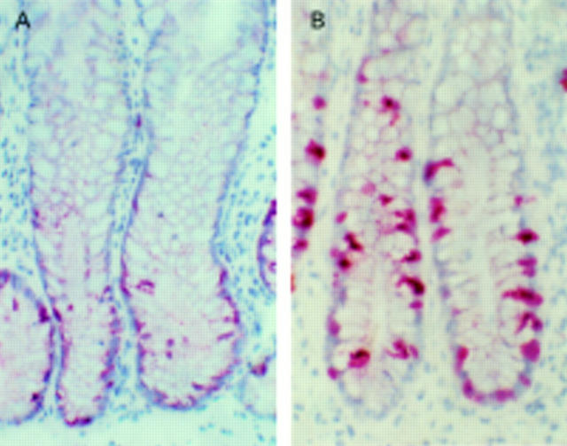 Figure 4  