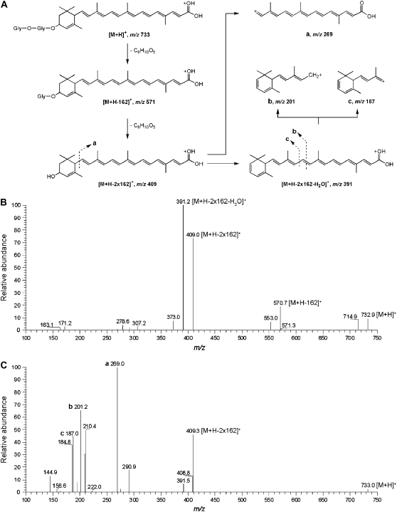 Figure 7.