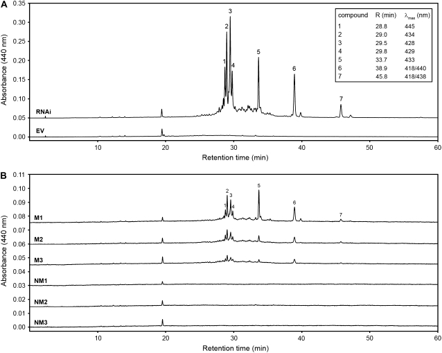 Figure 5.