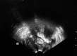 Fig. 3