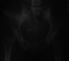 Fig. 1