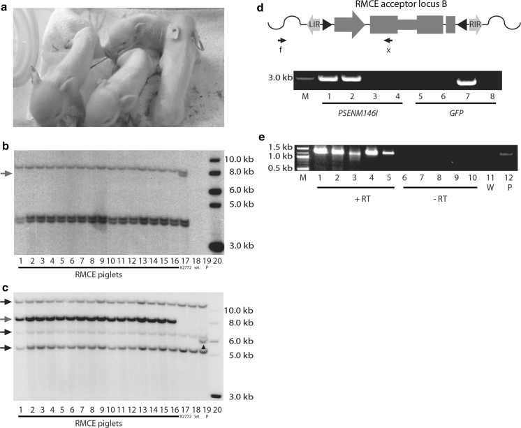 Fig. 3