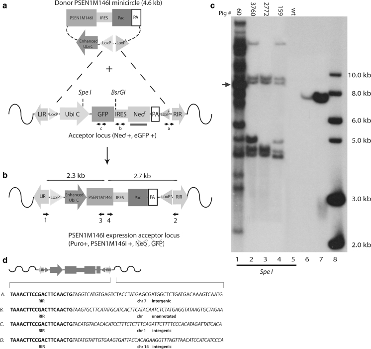 Fig. 1