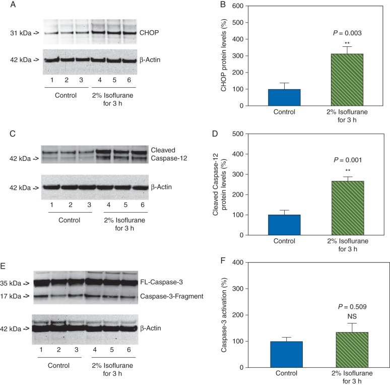 Fig 3