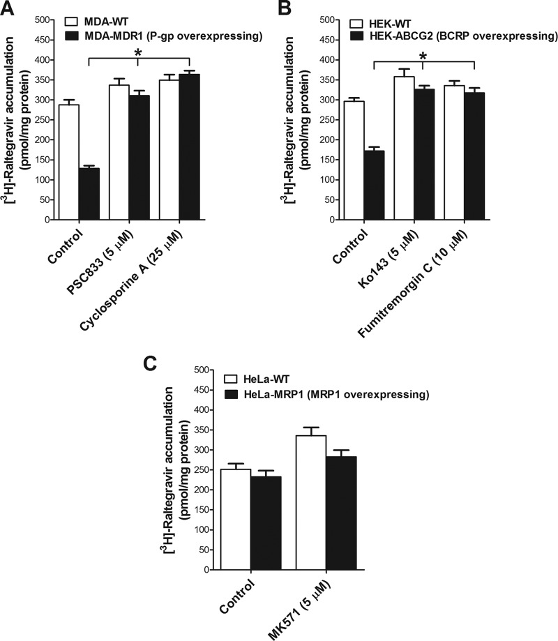 FIG 2