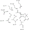 Fig. (2).