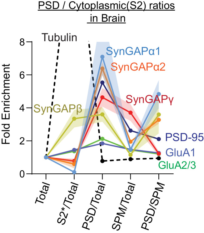 Figure 3—figure supplement 1.