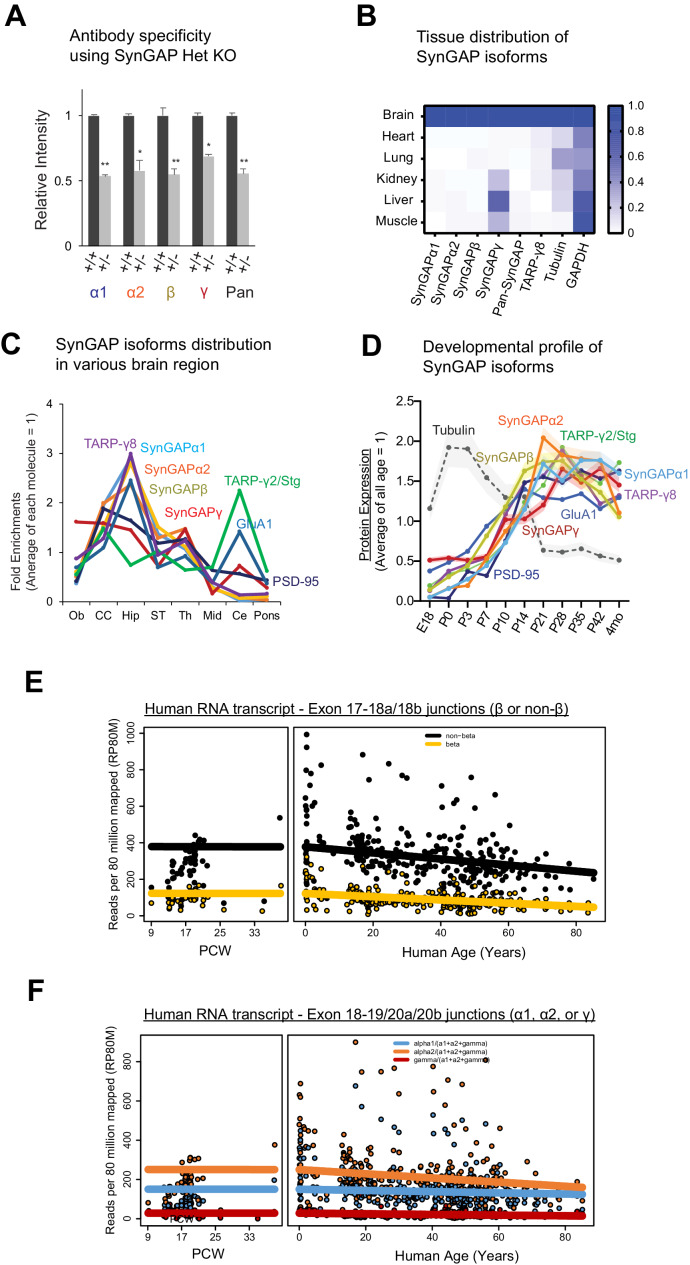 Figure 1—figure supplement 1.