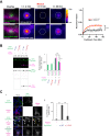 Figure 2—figure supplement 1.
