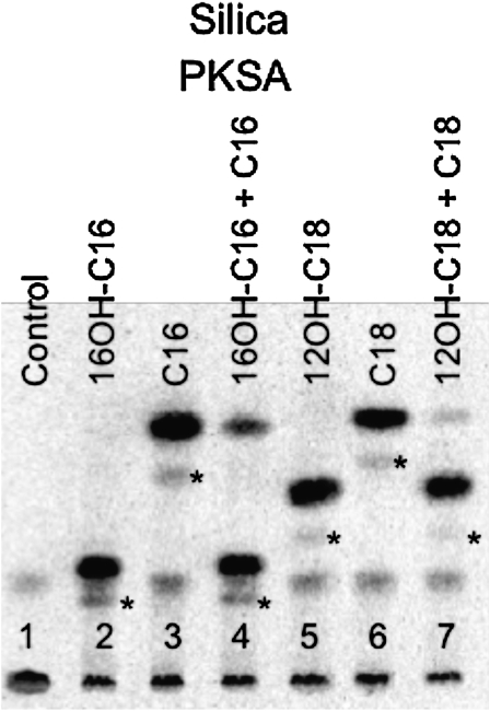 Figure 12.