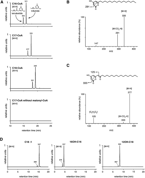 Figure 11.