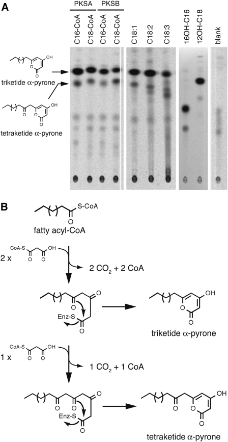 Figure 10.