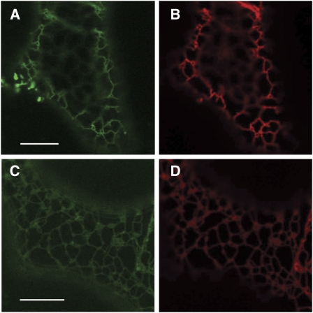 Figure 13.