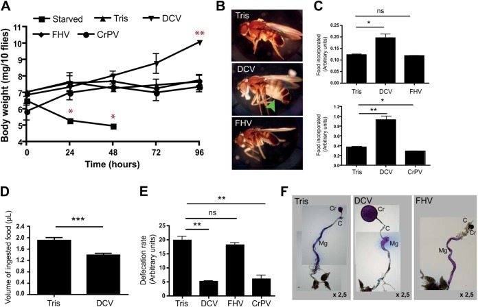 FIG 4