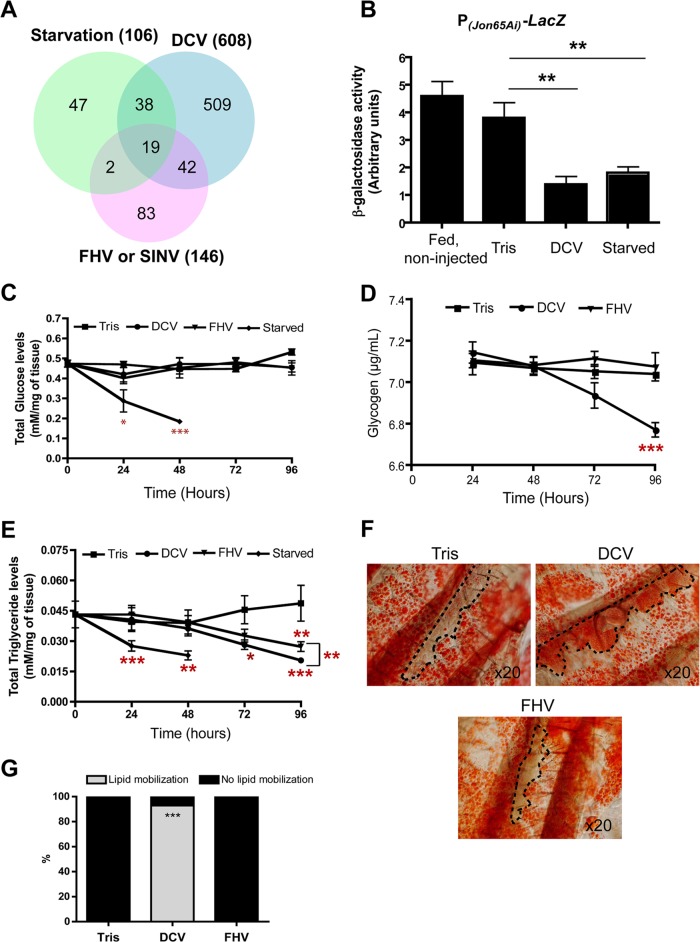 FIG 3