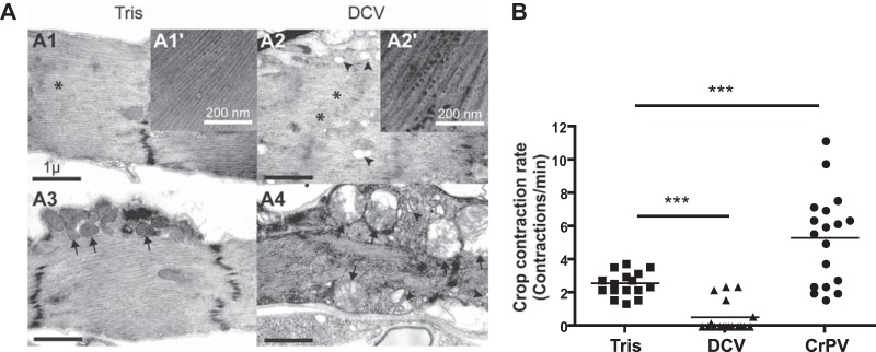 FIG 8