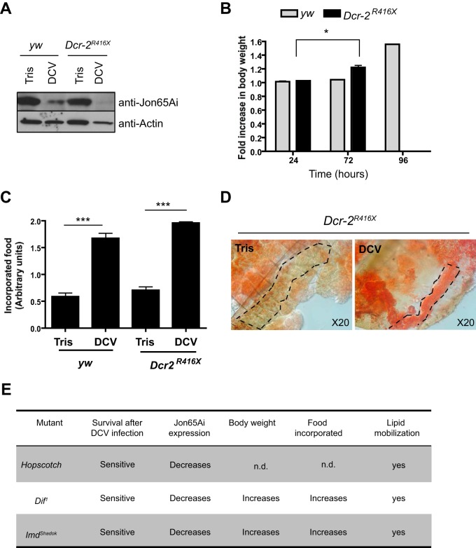 FIG 6