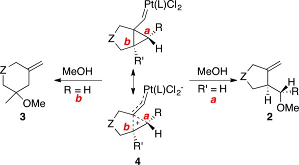 Scheme 2