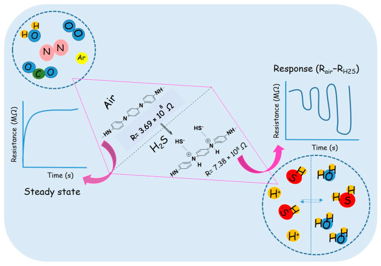 Figure 11