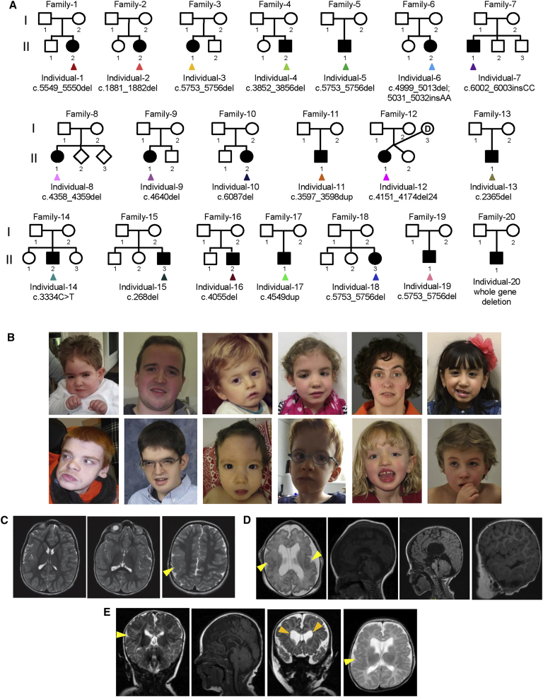 Figure 1