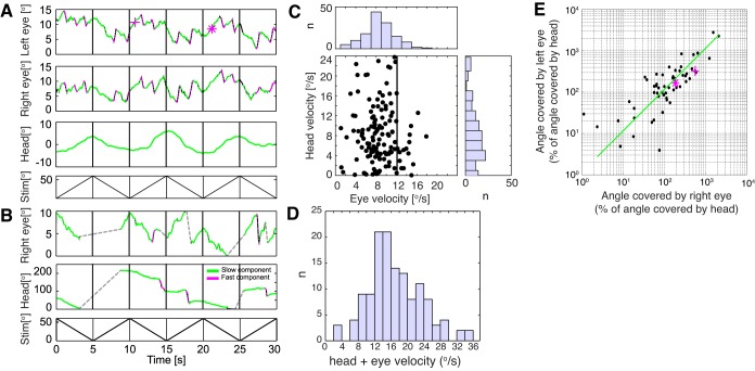 Fig. 8.