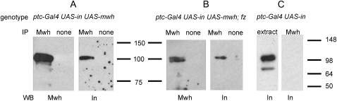 Figure 3.—