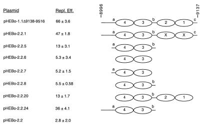 FIG. 6